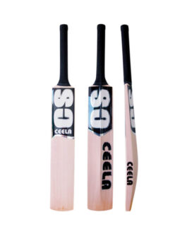 Ceela – 20-20 Kashmiri Willow  No 6